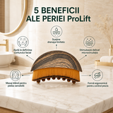 Perie ProLift + Cutie de depozitare - Masaj, drenaj și contur facial într-un singur ritual